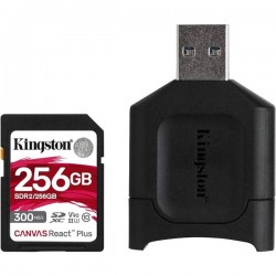 KINGSTON 256GB SDR2 SD Kart+Kart Okuyucu MLPR2/256GB
