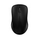 Rapoo 1620 16509 Kablosuz 1000dpi Siyah Mouse