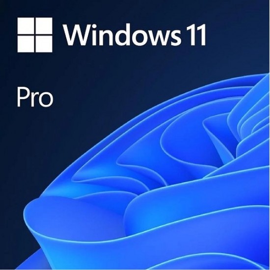 Microsoft Windows 11 Pro Trk Kutu 32/64 Bit Hav-00159